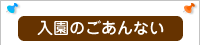 入園のご案内